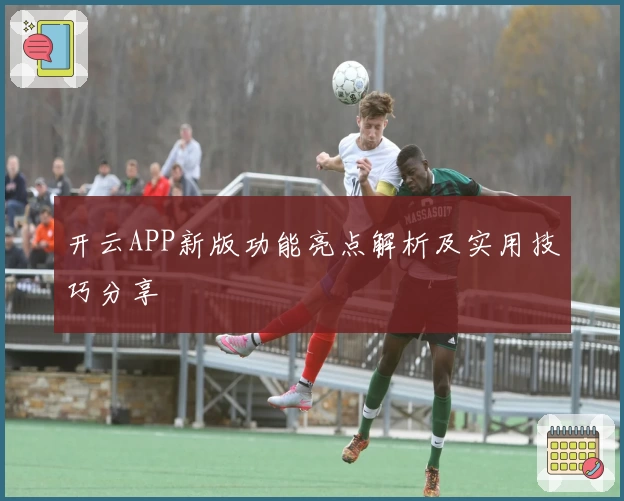 开云APP新版功能亮点解析及实用技巧分享